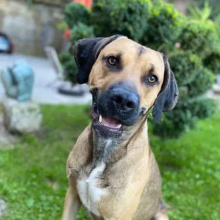 Seiz * Schwäbisch Gmünd